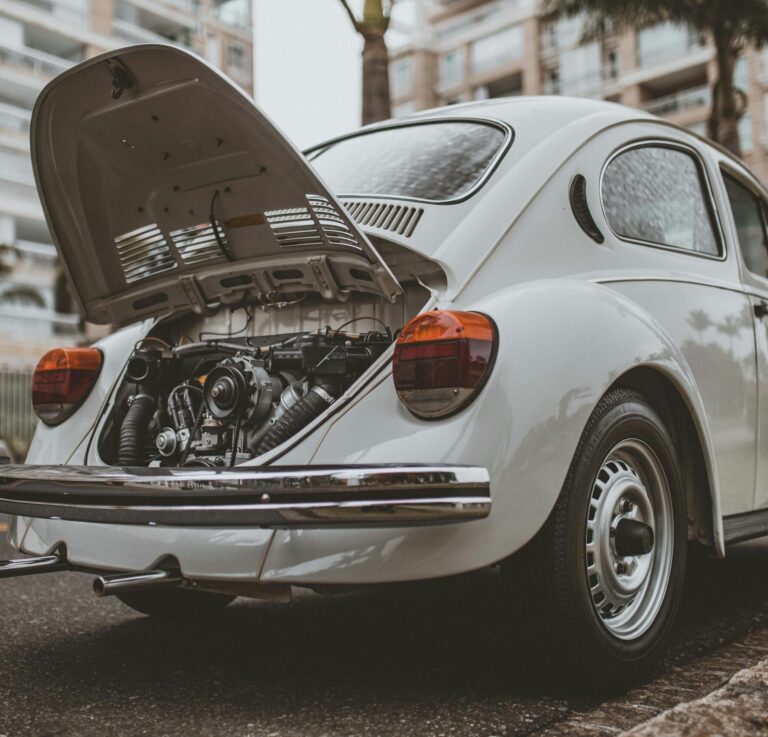 pexels-paulofreitas-10048780